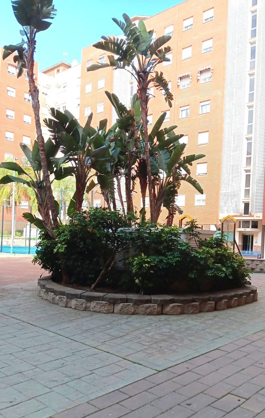 Apartment in Carretera de Cadiz, Malaga, Spain 2 - 17807948