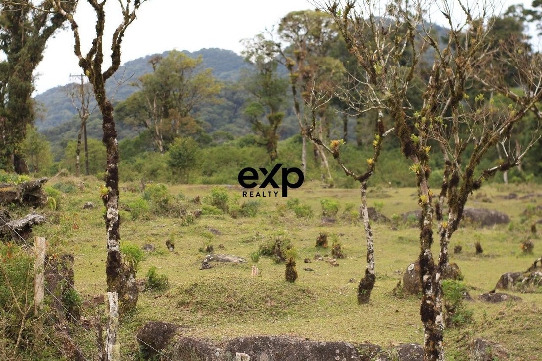 Terrain à Jardim da Colina, Paraná, Brésil 5 - 17808420