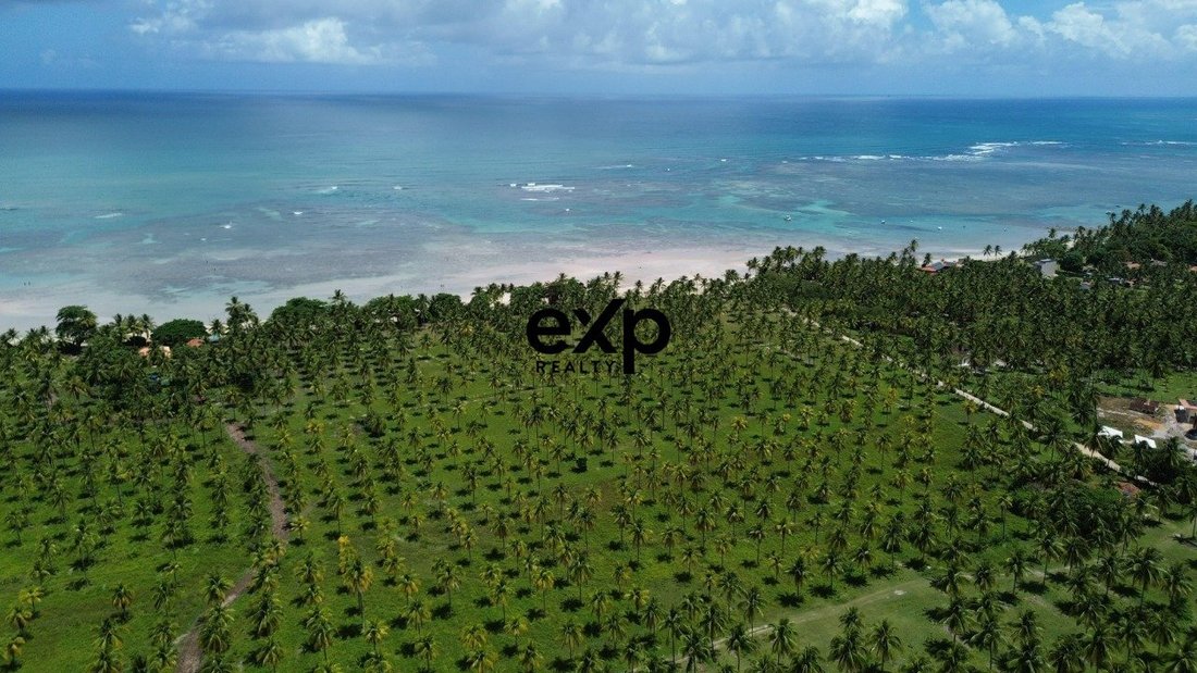 Land in Morro de São Paulo, State of Bahia, Brazil 1 - 17804710