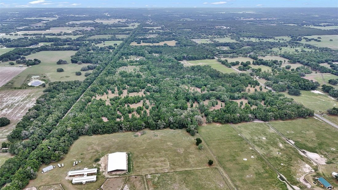 Land in Williston, Florida, United States 4 - 17808998