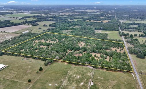 Land in Williston, Florida, United States 1