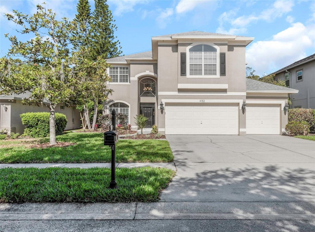 House in Palm Harbor, Florida, United States 1 - 17809046