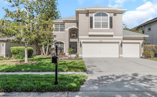 House in Palm Harbor, Florida, United States 1