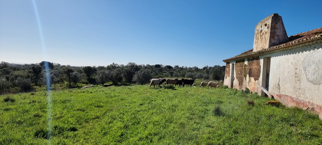 Land in Grandola e Santa Margarida da Serra, Setubal, Portugal 5 - 17809177