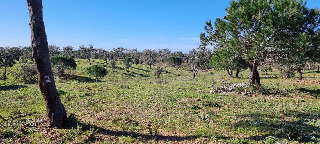 Land in Grandola e Santa Margarida da Serra, Setubal, Portugal 3 - 17809177