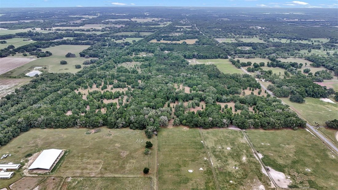Land in Williston, Florida, United States 5 - 17808998