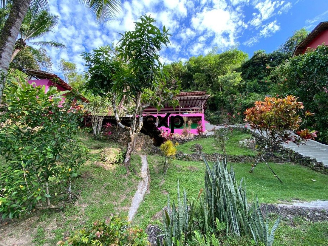 House in Cairu, State of Bahia, Brazil 3 - 17806252