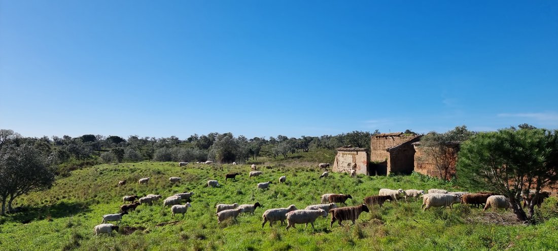 Land in Grandola e Santa Margarida da Serra, Setubal, Portugal 2 - 17809177