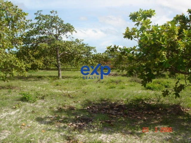 Land in Beberibe, Ceará, Brasilien 5 - 17804505