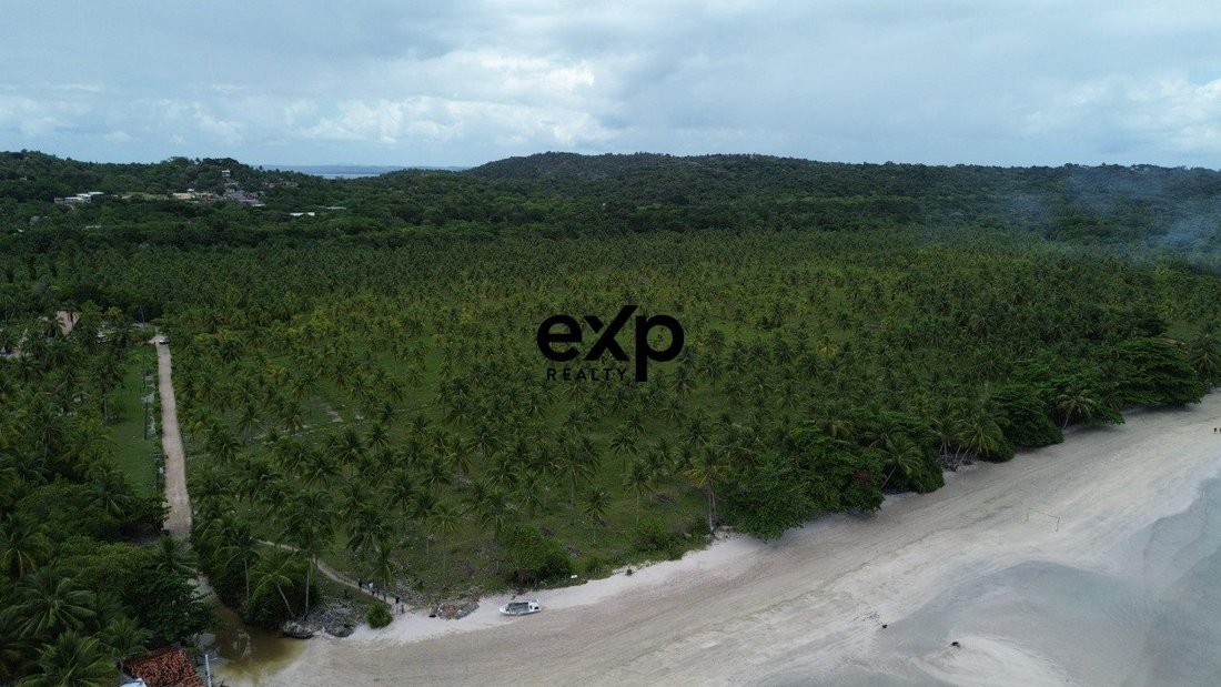 Land in Morro de São Paulo, State of Bahia, Brazil 5 - 17804710