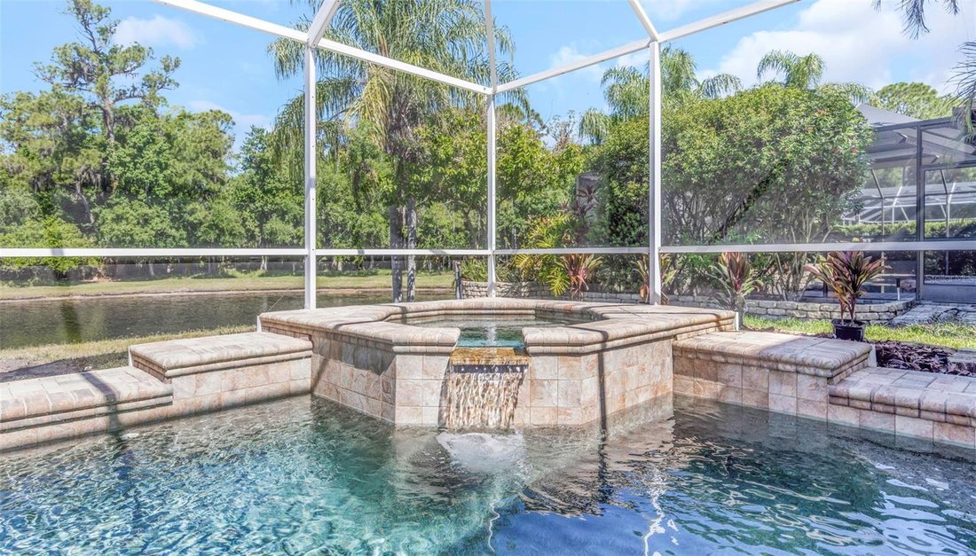 House in Palm Harbor, Florida, United States 2 - 17809046