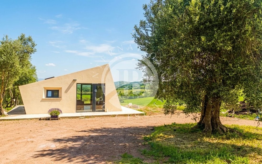 Villa in Campagnatico, Tuscany, Italy 5 - 17810087
