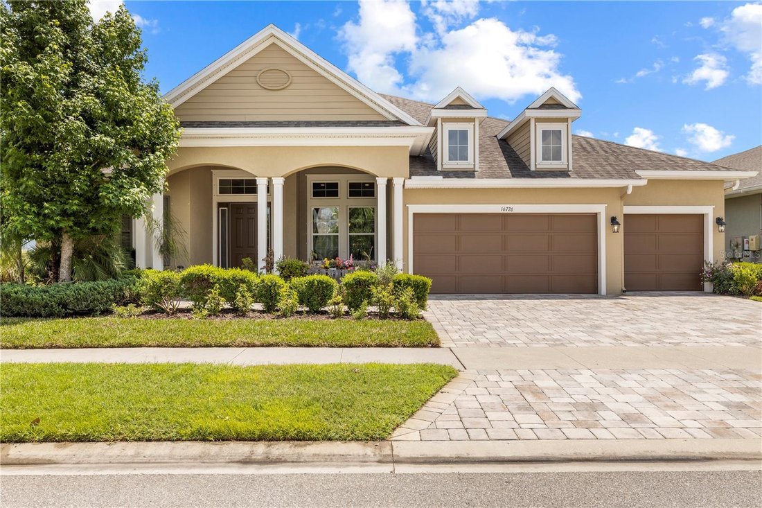 House in Land O' Lakes, Florida, United States 1 - 17808991