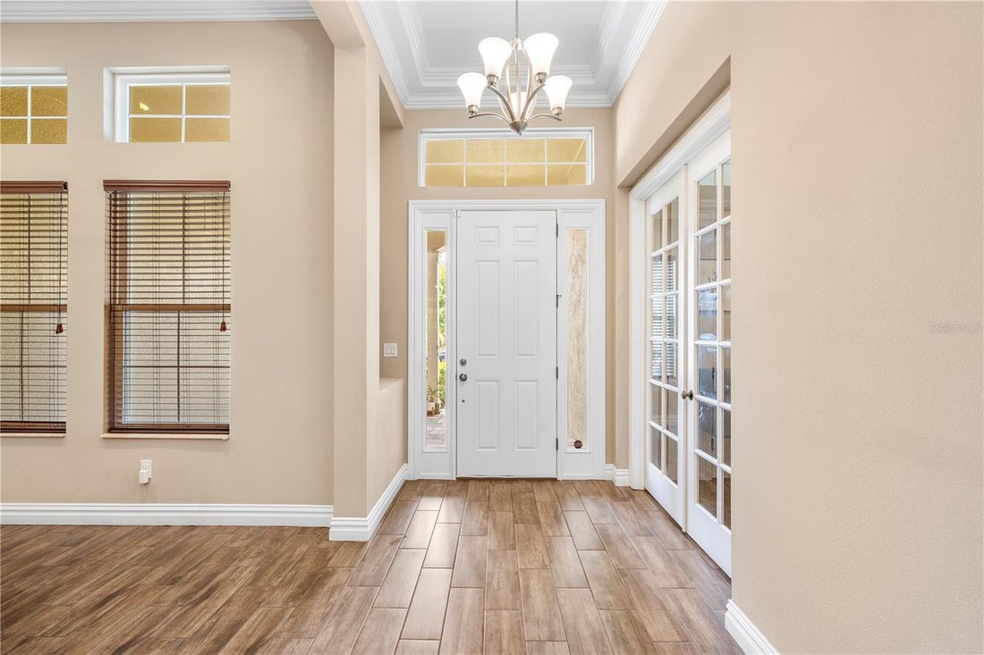 House in Land O' Lakes, Florida, United States 3 - 17808991
