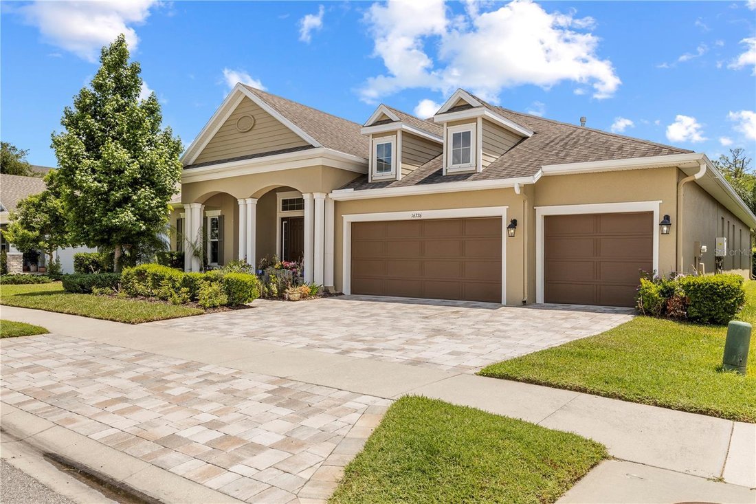 House in Land O' Lakes, Florida, United States 2 - 17808991