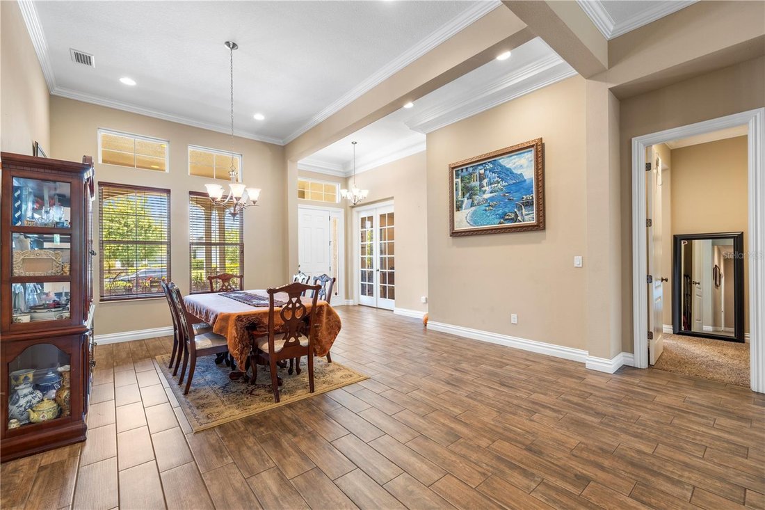 House in Land O' Lakes, Florida, United States 4 - 17808991