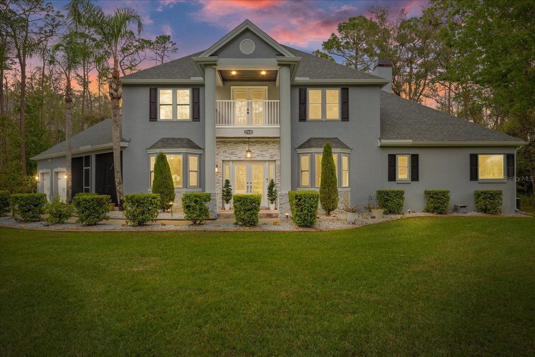 Casa a Wesley Chapel, Florida, Stati Uniti 1 - 17809045