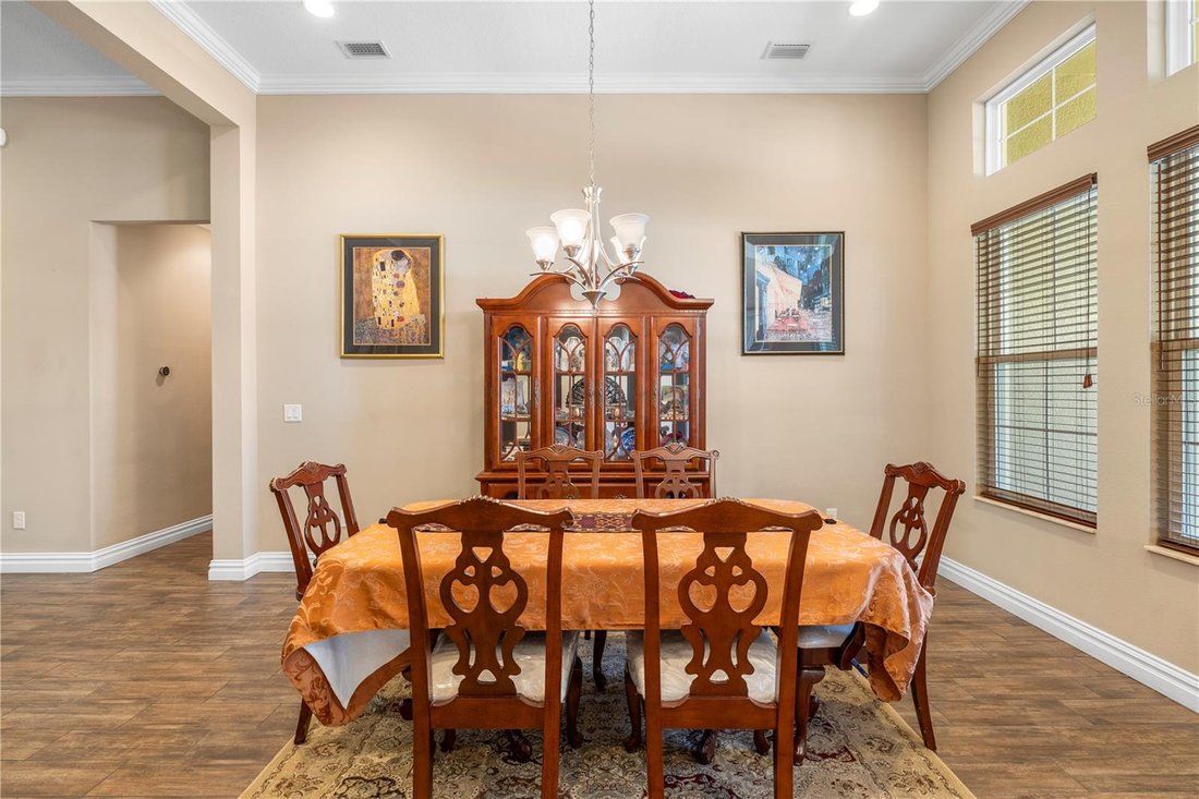 House in Land O' Lakes, Florida, United States 5 - 17808991
