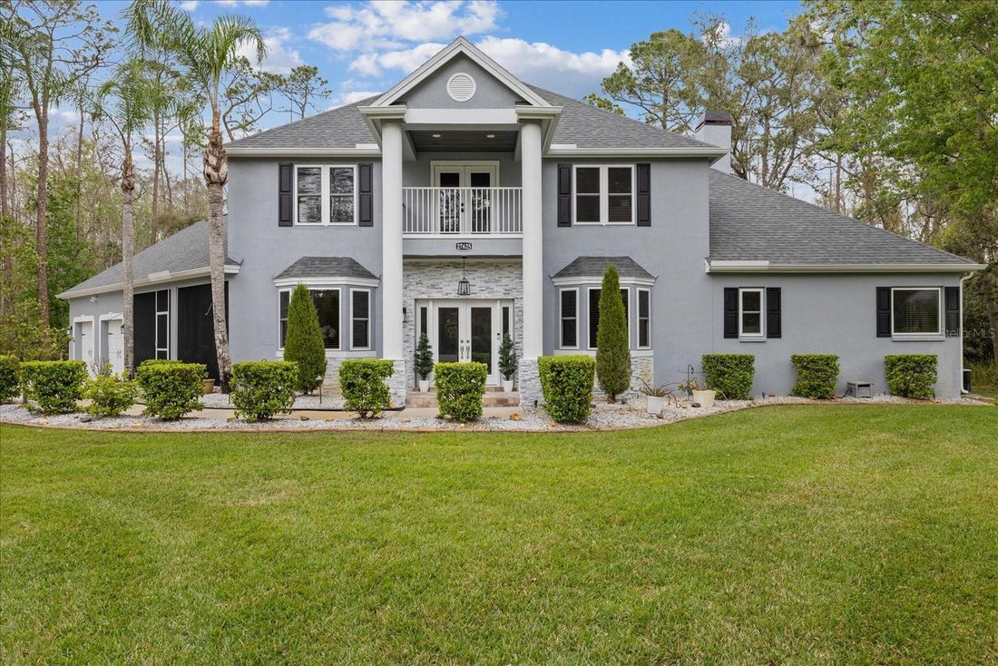 House in Wesley Chapel, Florida, United States 4 - 17809045
