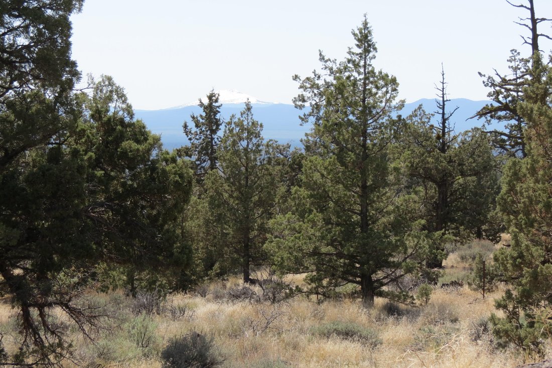 Land in Bend, Oregon, United States 4 - 17808454