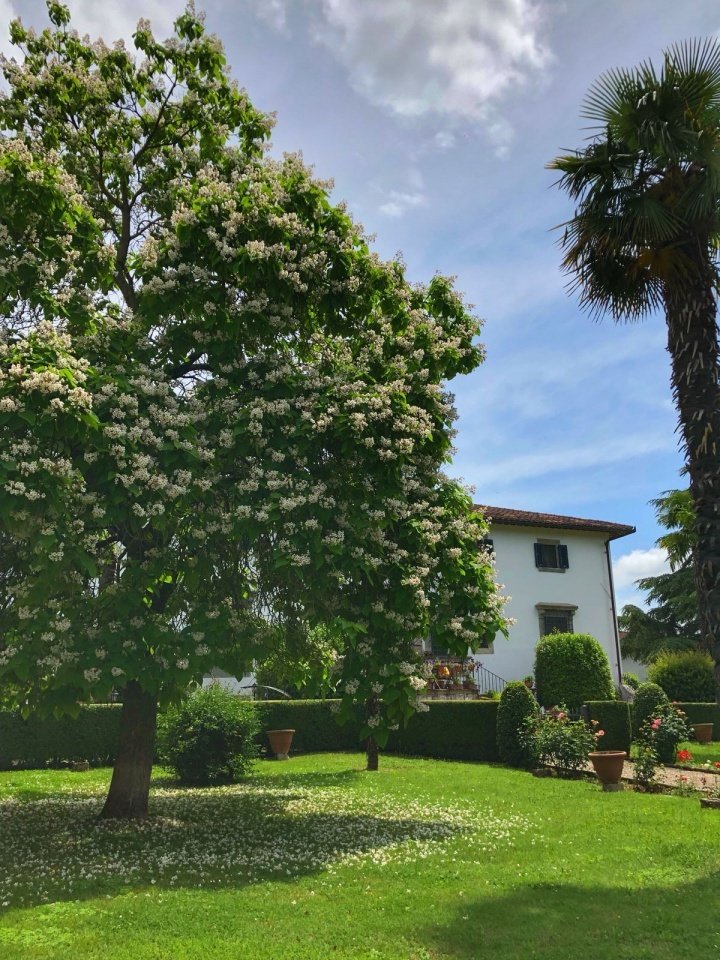 Villa in Borgo San Lorenzo, Tuscany, Italy 4 - 17808229