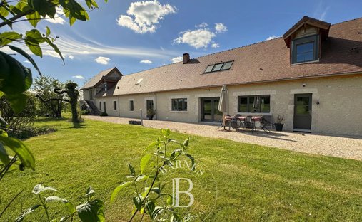 House in Cour-Cheverny, Centre-Val de Loire, France 1