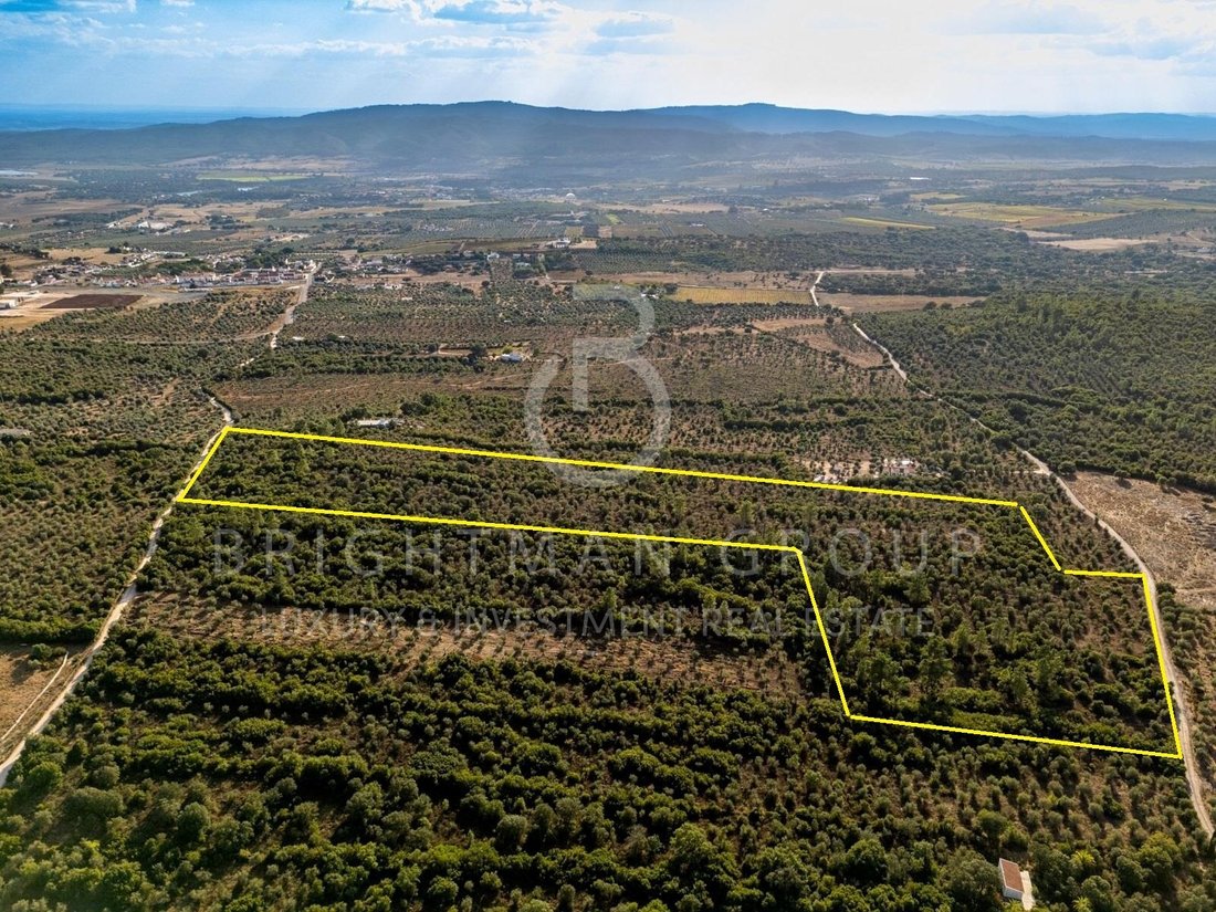 Land in Borba (Sao Bartolomeu), Évora District, Portugal 3 - 17810056