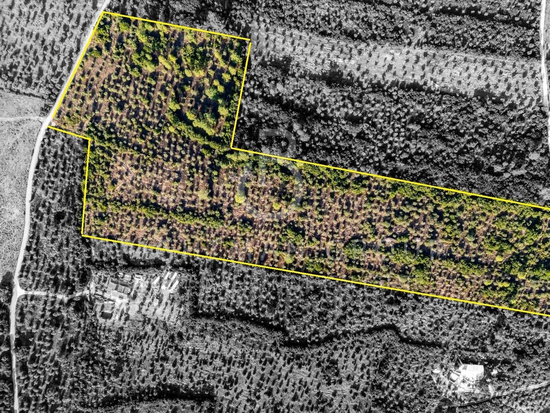 Land in Borba (Sao Bartolomeu), Évora District, Portugal 2 - 17810056
