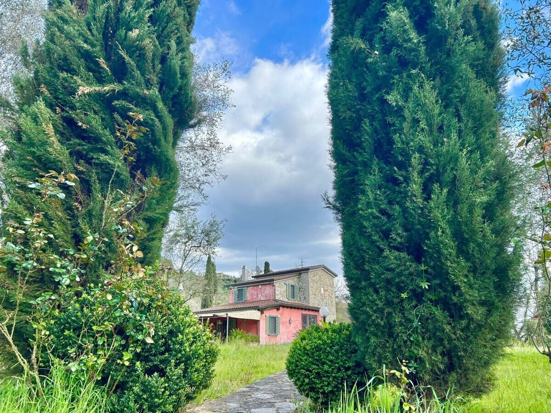 House in Center, Sarzana, Liguria 1 - 17808211