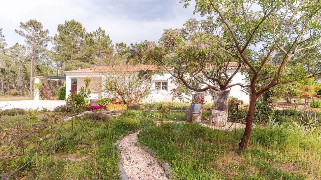 Villa in Rogil, Algarve, Portugal 4 - 17809009