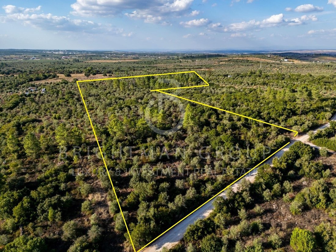 Land in Borba (Sao Bartolomeu), Évora District, Portugal 4 - 17810056