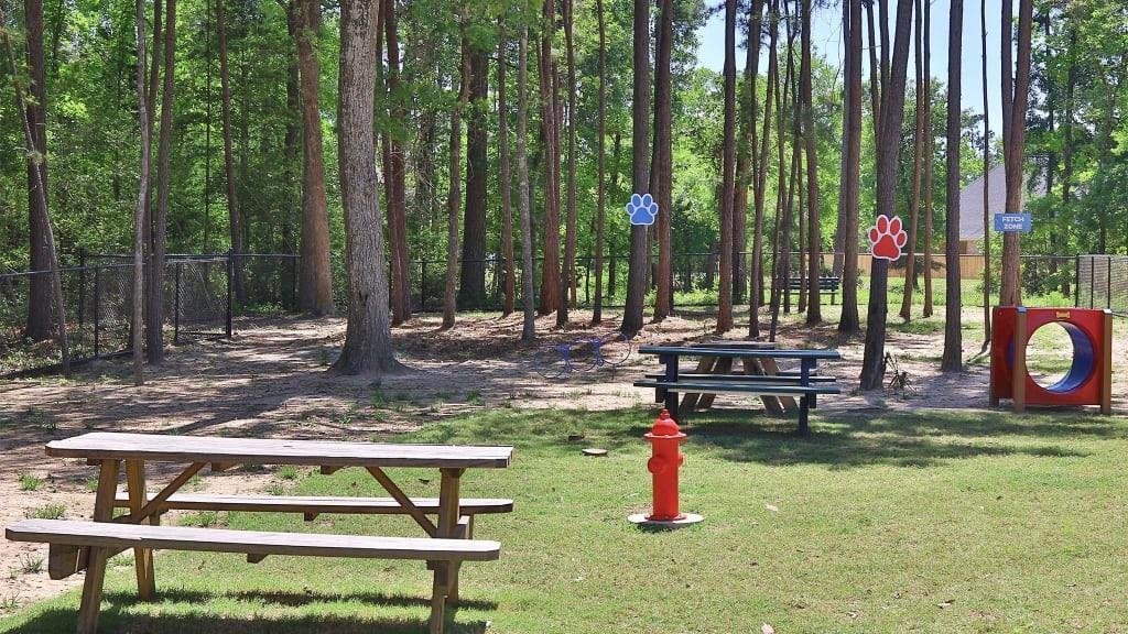 House in Conroe, Texas, United States 5 - 17809385