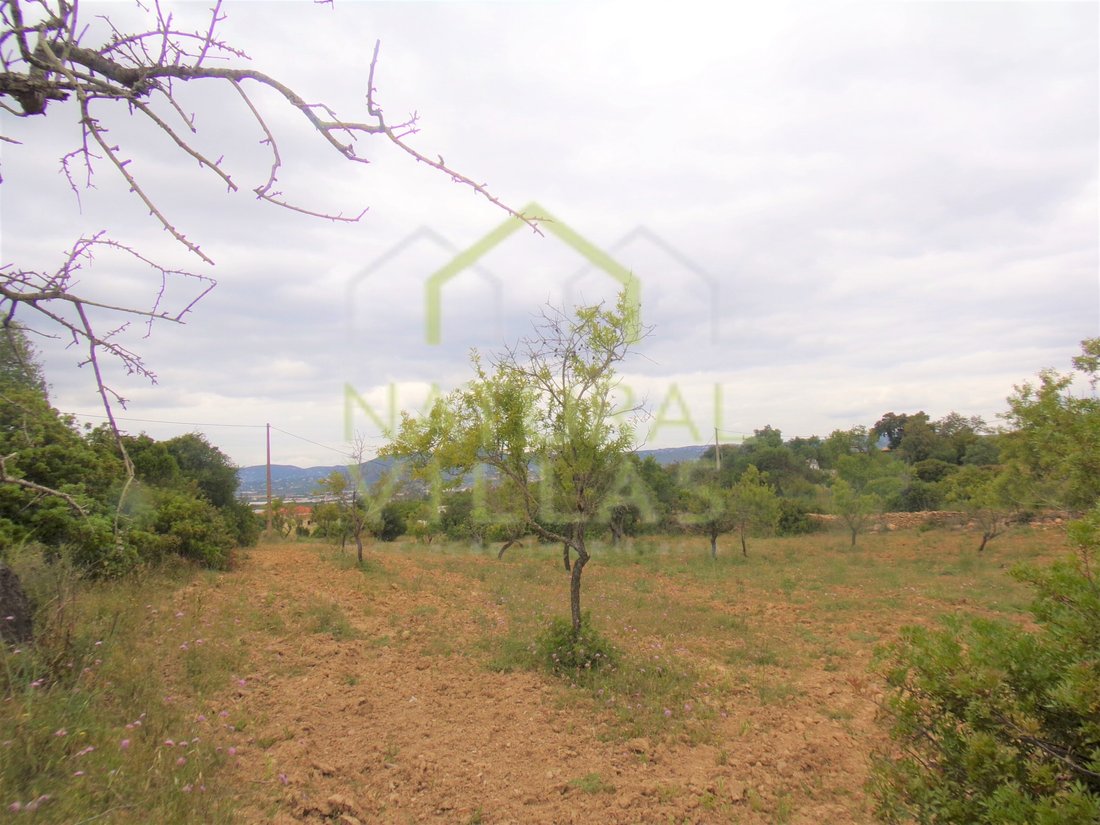 Land in Estoi, Algarve, Portugal 4 - 17810157