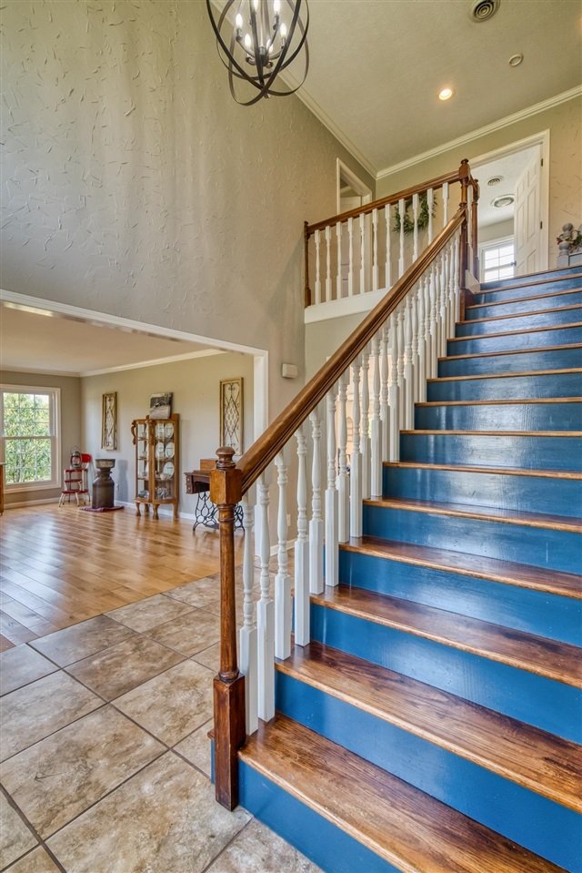 House in Russellville, Kentucky, United States 4 - 17814903
