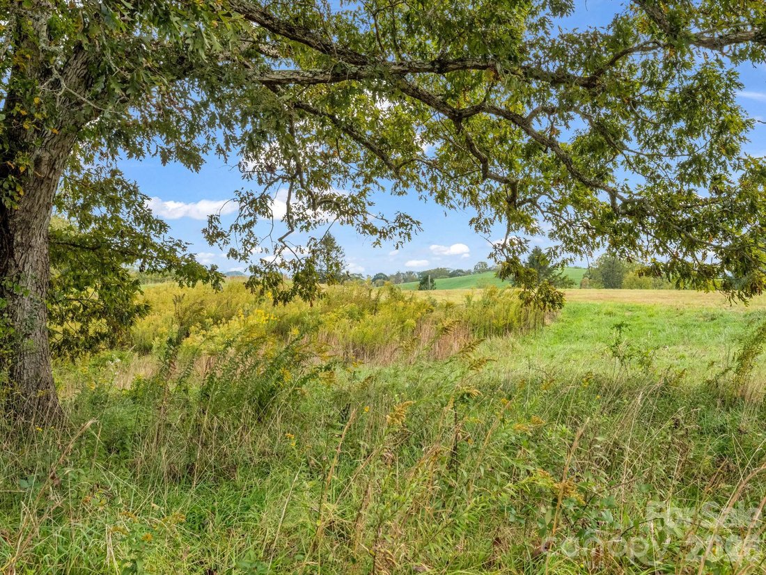 Land in Mills River, North Carolina, United States 5 - 16389837