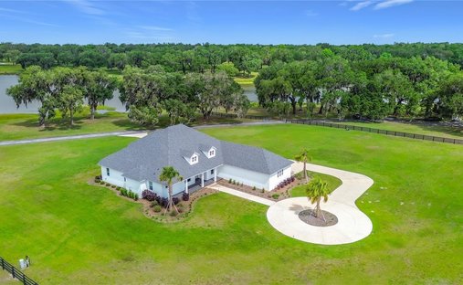 Farm Ranch in Summerfield, Florida, United States 1
