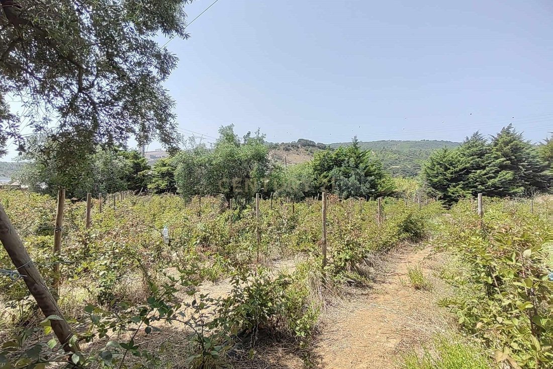 Land in Alverca do Ribatejo, Lisbon, Portugal 4 - 16463314