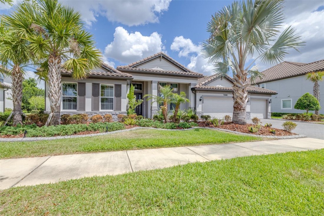 House in Wesley Chapel, Florida, United States 3 - 17812805