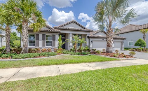 House in Wesley Chapel, Florida, United States 1