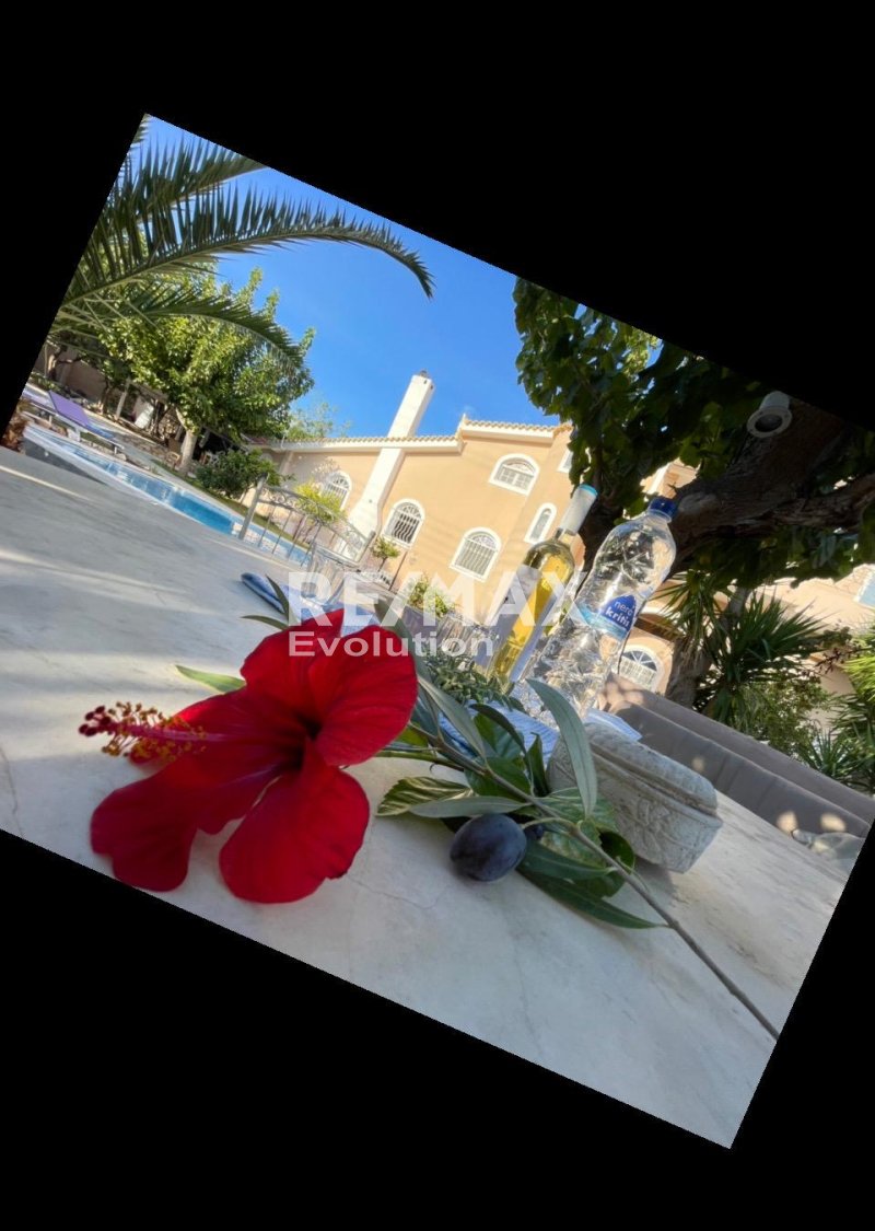 House in Kropia, Attica, Greece 4 - 17815283
