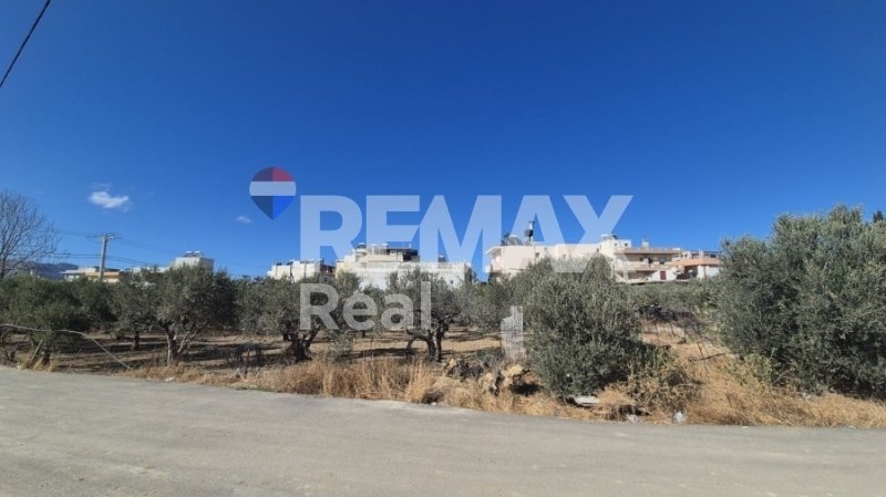 Land in Community of Gazi-Kavrochorion, Gazi, Greece 4 - 17815286