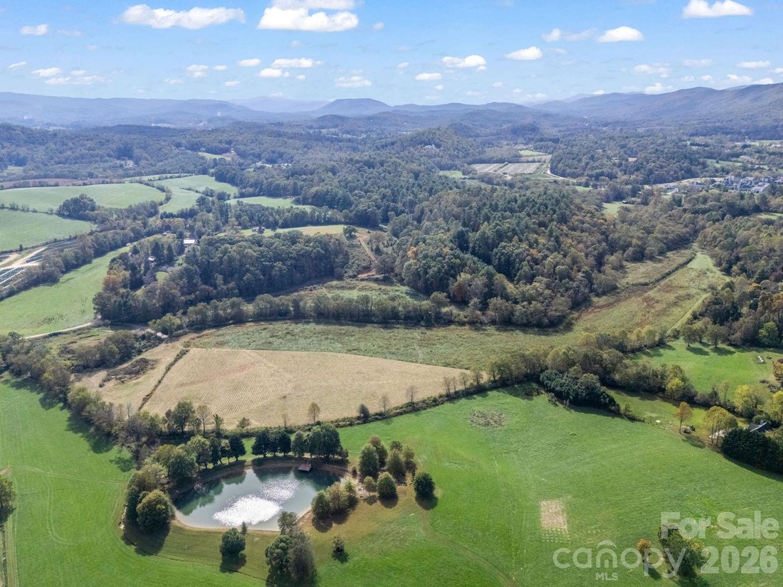 Land in Mills River, North Carolina, United States 3 - 16389837