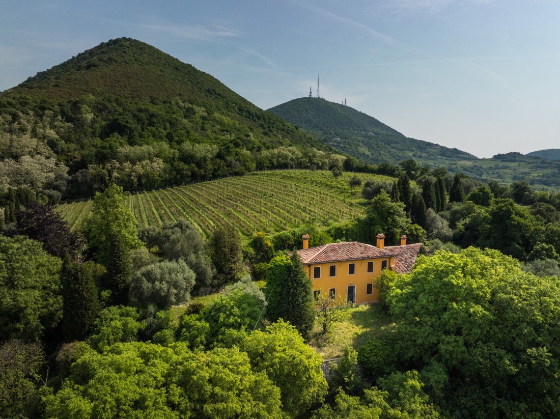 House in Cinto Euganeo, Veneto, Italy 1 - 17698984