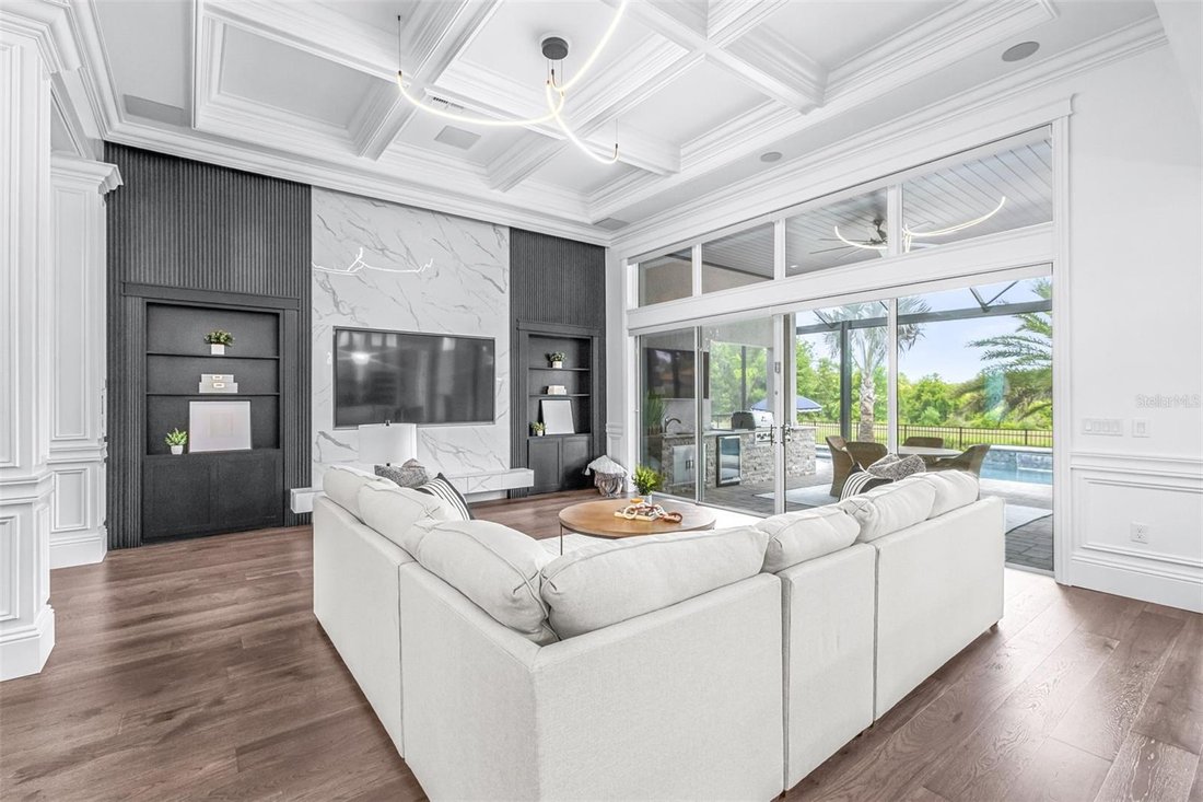 House in Wesley Chapel, Florida, United States 4 - 17812805