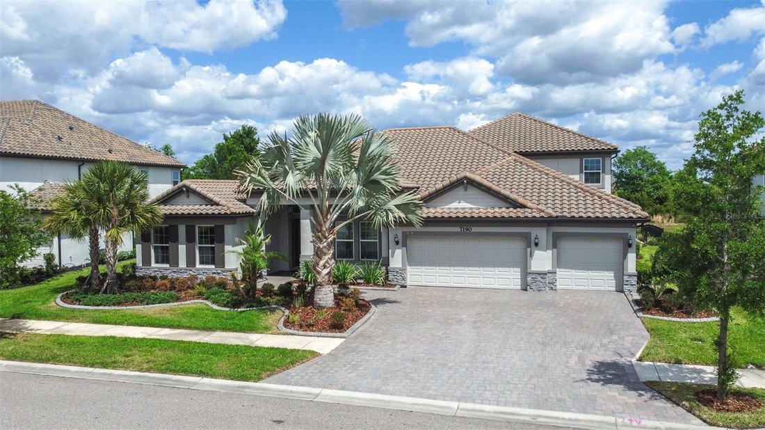 House in Wesley Chapel, Florida, United States 1 - 17812805