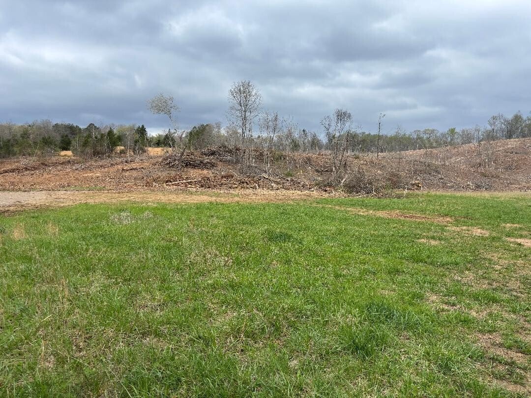 Farm Ranch in Birchwood, Tennessee, United States 4 - 17814601