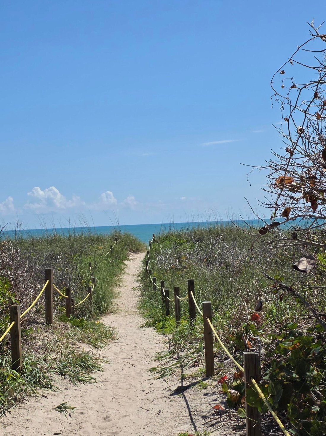 Terrain à Fort Pierce, Floride, États-Unis 5 - 17814266