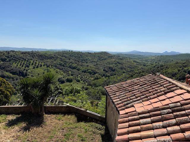 Estate in Magliano in Toscana, Tuscany, Italy 5 - 17814146