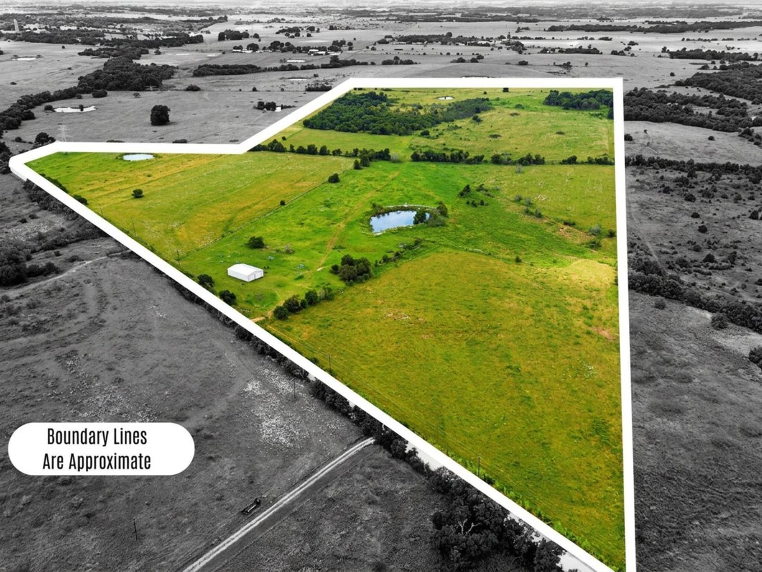 Land in Blooming Grove, Texas, United States 4 - 16121343