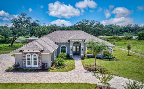House in Fruitland Park, Florida, United States 1